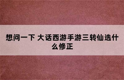 想问一下 大话西游手游三转仙选什么修正